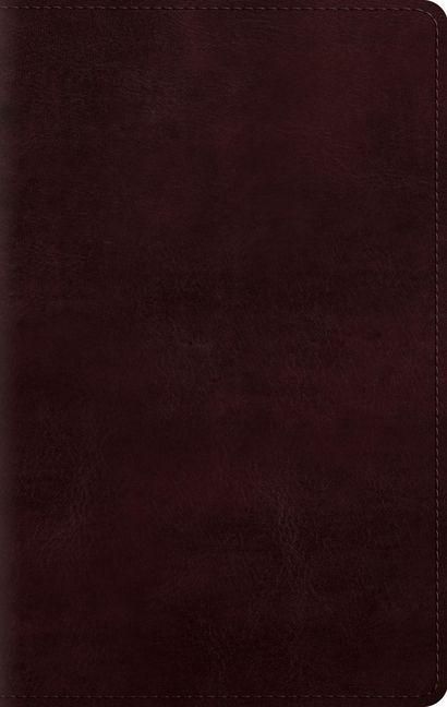 Produktbild: Large Print Personal Size Bible-ESV