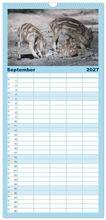 Produktbild: Familienplaner 2027 - Tierische Schweinerei mit 5 Spalten (Wandkalender, 21 x 45 cm) CALVENDO