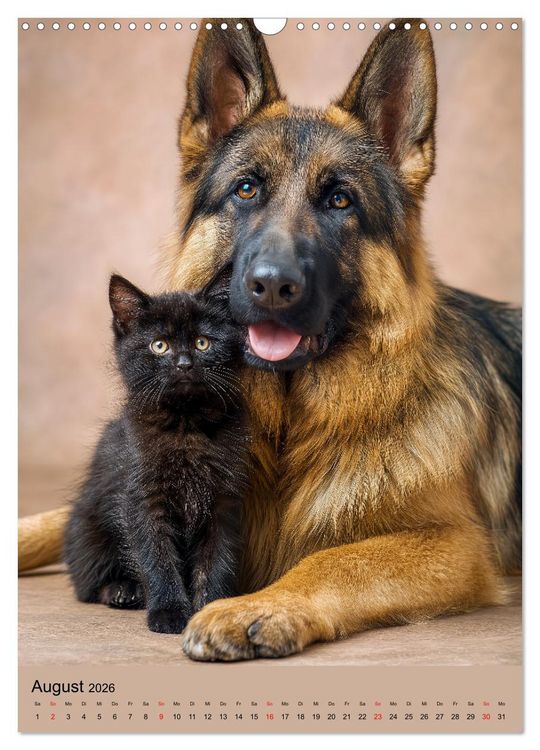 Produktbild: Freundschaftskalender - Katzen und Hunde, beste Freunde in Umarmung (Wandkalender 2026 DIN A3 hoch), CALVENDO Monatskalender