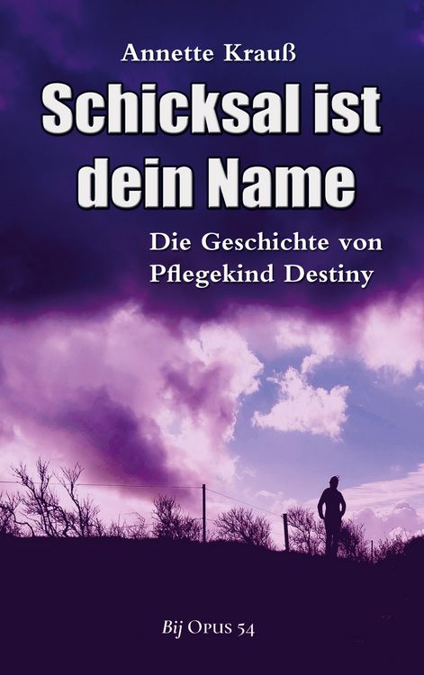Produktbild: Schicksal ist dein Name