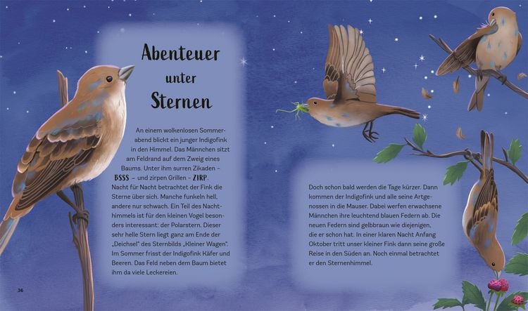 Produktbild: Tiergeschichten zum Tr&auml;umen. Zauber der Nacht