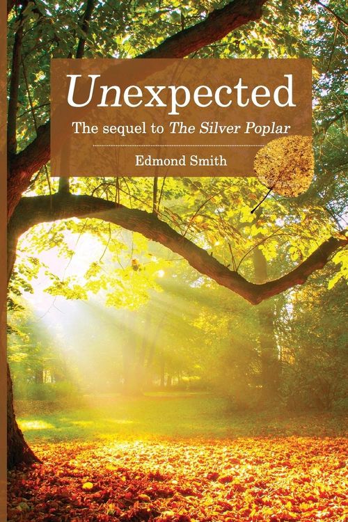 Produktbild: Unexpected