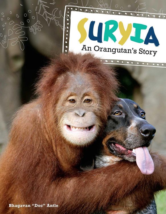 Produktbild: Suryia