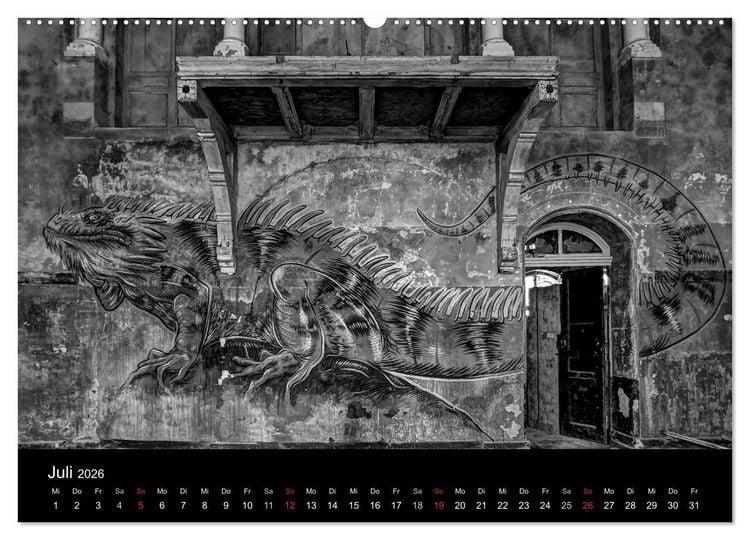 Produktbild: lost beauty (hochwertiger Premium Wandkalender 2026 DIN A2 quer), Kunstdruck in Hochglanz