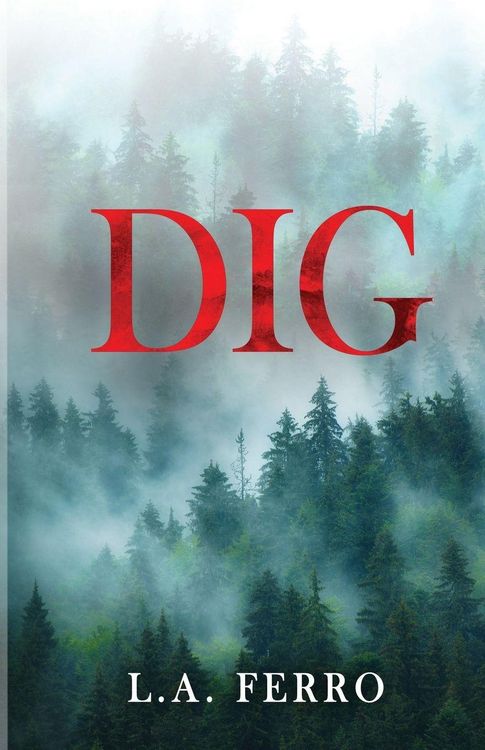 Produktbild: DIG
