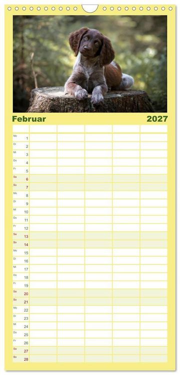 Produktbild: Familienplaner 2027 - Passion Jagdhund - Deutsch Langhaar mit 5 Spalten (Wandkalender, 21 x 45 cm) CALVENDO