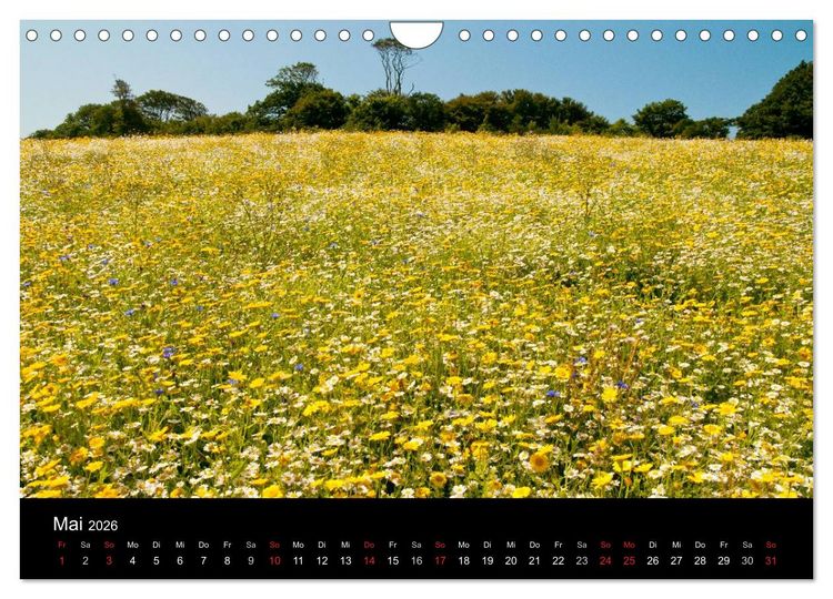 Produktbild: Magisches Cornwall (Wandkalender 2026 DIN A4 quer), CALVENDO Monatskalender