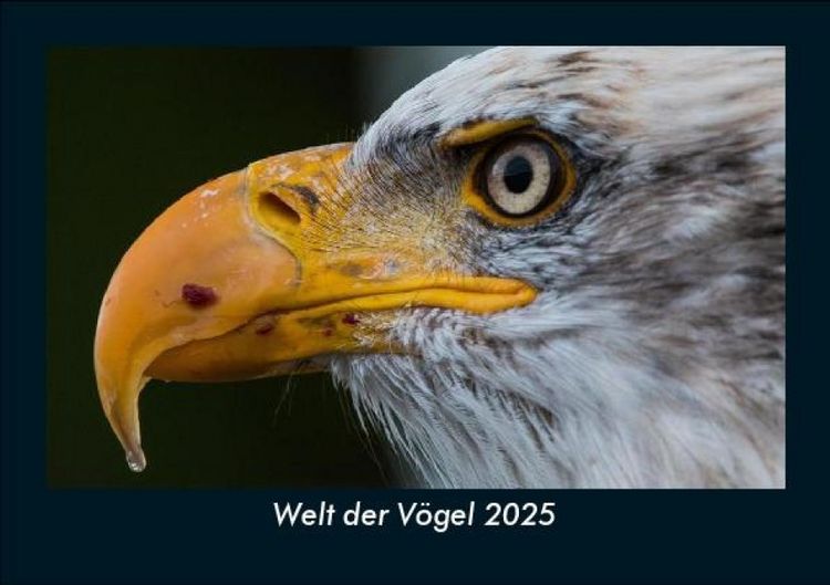 Produktbild: Welt der V&ouml;gel 2025 Fotokalender DIN A5