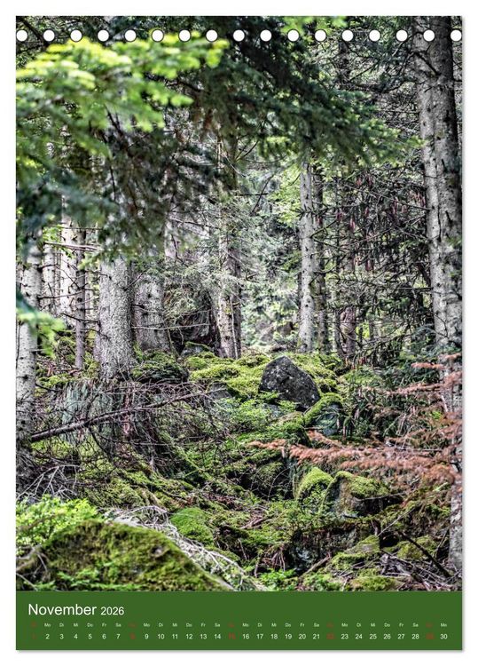 Produktbild: Schwarzwald Nord (Tischkalender 2026 DIN A5 hoch), CALVENDO Monatskalender