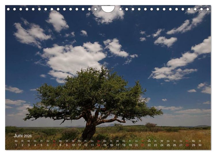 Produktbild: Afrikanische B&auml;ume (Wandkalender 2026 DIN A4 quer), CALVENDO Monatskalender