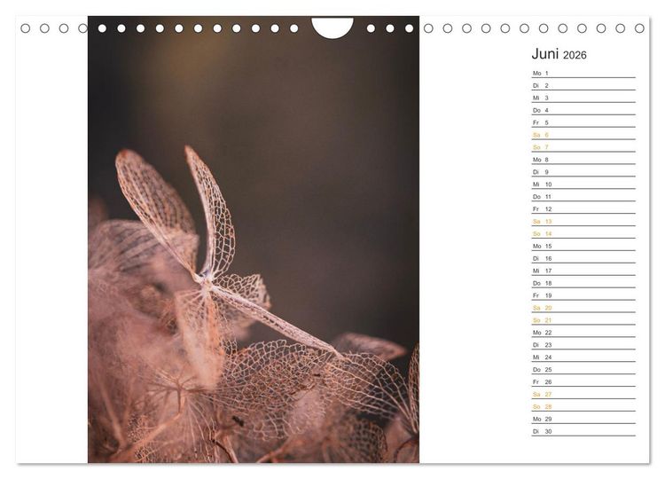 Produktbild: Kleine Wunder vor der Haust&uuml;r (Wandkalender 2026 DIN A4 quer), CALVENDO Monatskalender