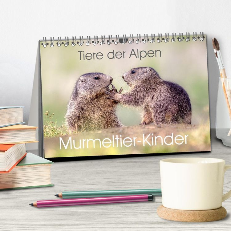 Produktbild: Tiere der Alpen - Murmeltier-Kinder (Tischkalender 2026 DIN A5 quer), CALVENDO Monatskalender