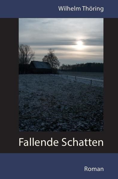 Produktbild: Fallende Schatten Roman