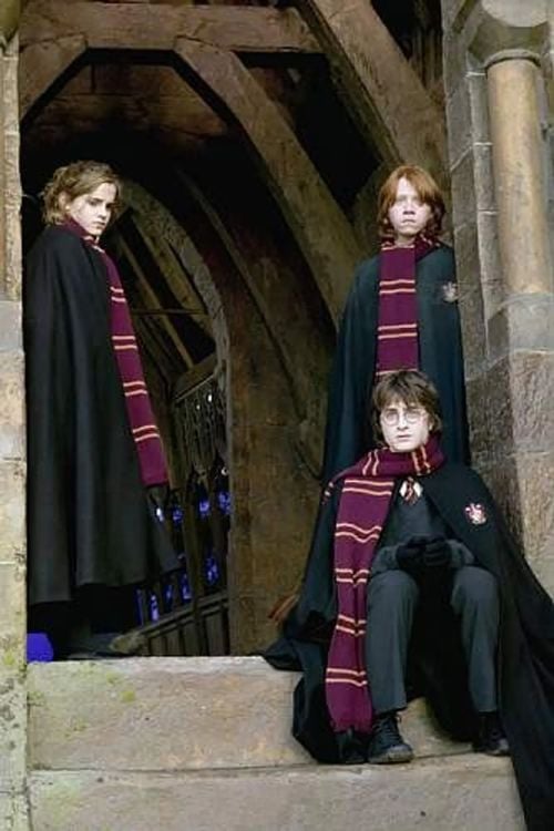 Harry Potter Schal Gryffindor 190 cm