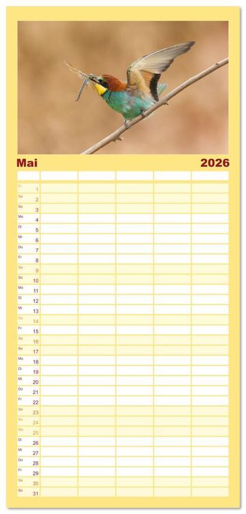 Produktbild: Familienplaner 2026 - Bunte Flieger mit 5 Spalten (Wandkalender, 21 x 45 cm) CALVENDO