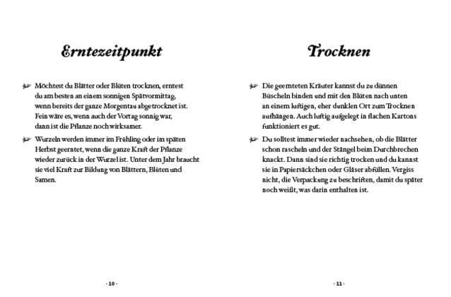 Das große kleine Buch: Kräuterwanderung mit Kindern