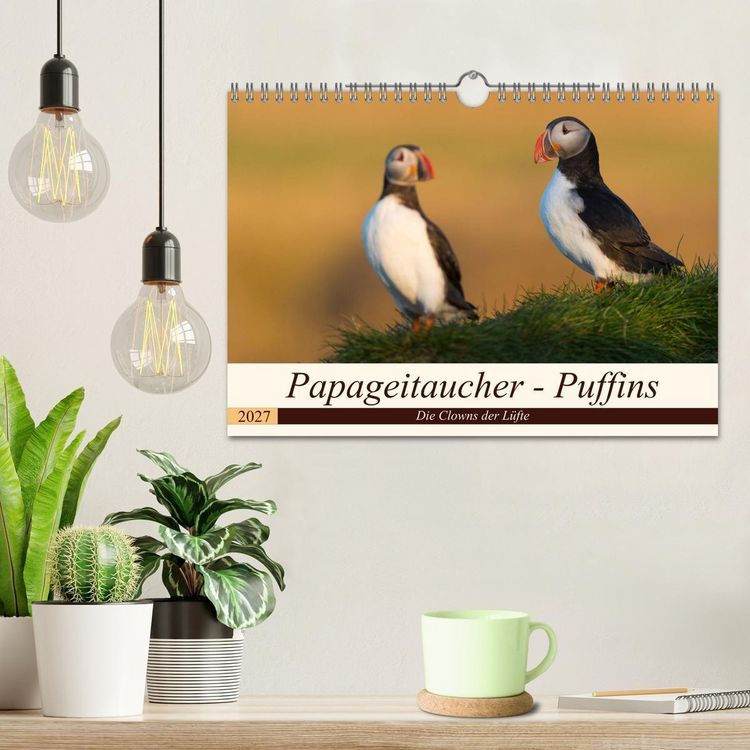 Produktbild: Papageitaucher - Puffins (Wandkalender 2027 DIN A4 quer), CALVENDO Monatskalender