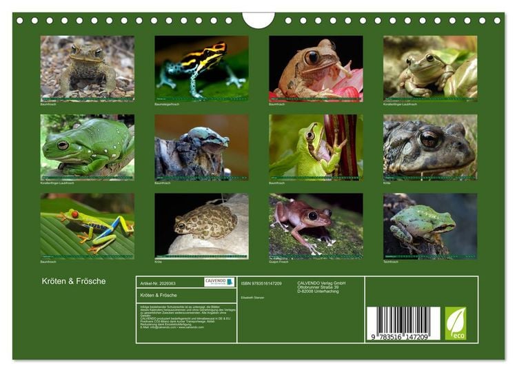 Produktbild: Kr&ouml;ten & Fr&ouml;sche (Wandkalender 2026 DIN A4 quer), CALVENDO Monatskalender
