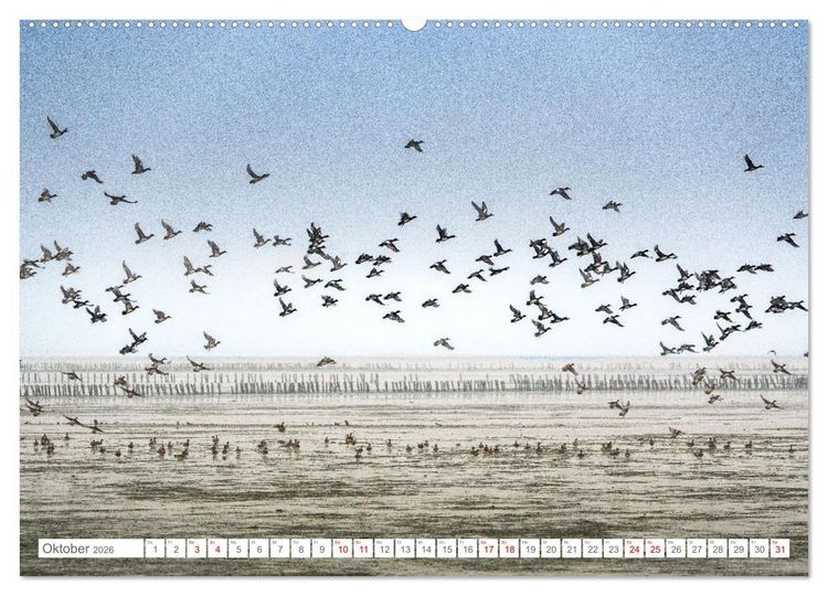 Produktbild: Naturerlebnis R&oslash;m&oslash; (Wandkalender 2026 DIN A2 quer), CALVENDO Monatskalender