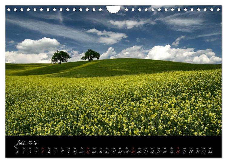 Produktbild: Licht der Toscana (Wandkalender 2026 DIN A4 quer), CALVENDO Monatskalender