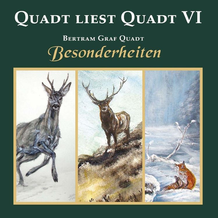 Produktbild: Quadt liest Quadt VI