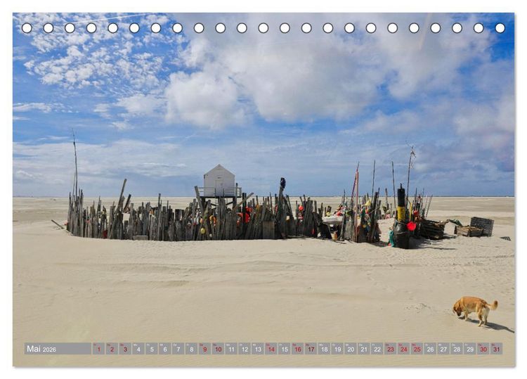Produktbild: Vlieland Perle an der Nordsee (Tischkalender 2026 DIN A5 quer), CALVENDO Monatskalender