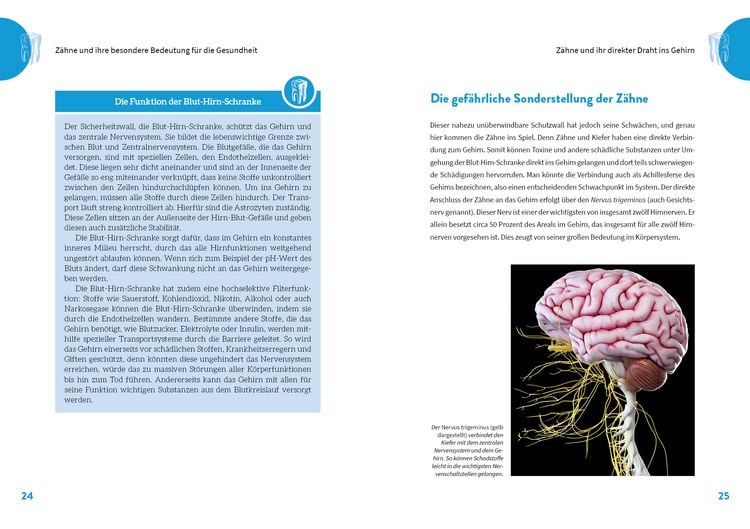 Produktbild: Die geheime Kraft der Z&auml;hne