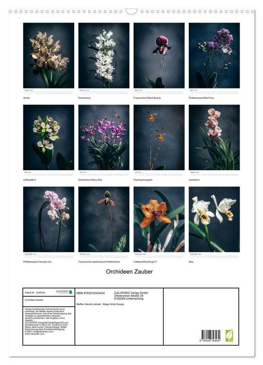 Produktbild: Orchideen Zauber (Wandkalender 2026 DIN A2 hoch), CALVENDO Monatskalender