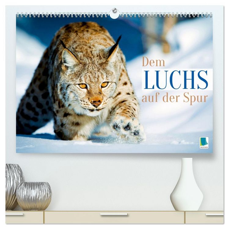 Produktbild: Dem Luchs auf der Spur (hochwertiger Premium Wandkalender 2026 DIN A2 quer), Kunstdruck in Hochglanz