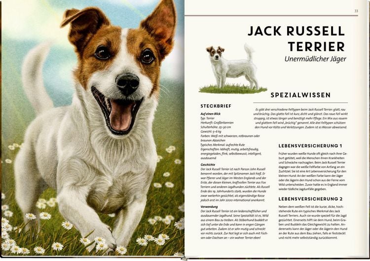 Produktbild: Lebensgro&szlig;