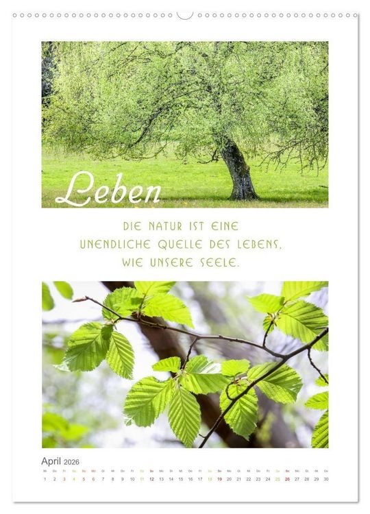 Produktbild: Quellen der Inspiration (hochwertiger Premium Wandkalender 2026 DIN A2 hoch), Kunstdruck in Hochglanz