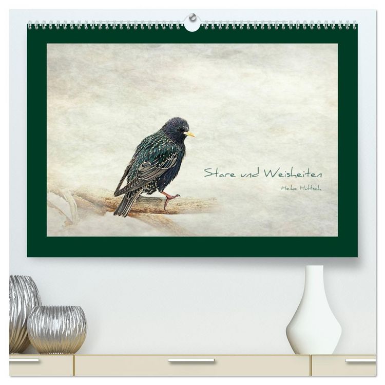 Produktbild: Stare und Weisheiten (hochwertiger Premium Wandkalender 2026 DIN A2 quer), Kunstdruck in Hochglanz