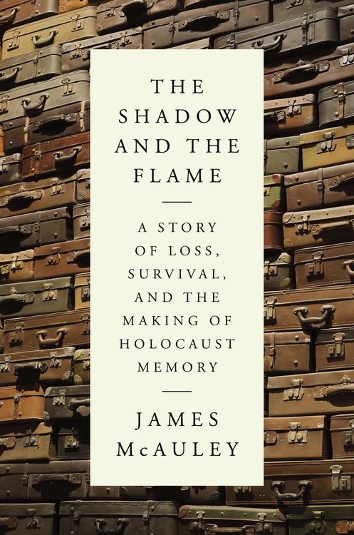 Produktbild: The Shadow and the Flame