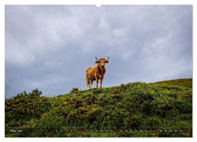 Produktbild: Picos de Europa - In and around the national park (High Quality Premium Wall Calendar 2026 DIN A2 landscape),CALVENDO 12 Month Wall Calendar