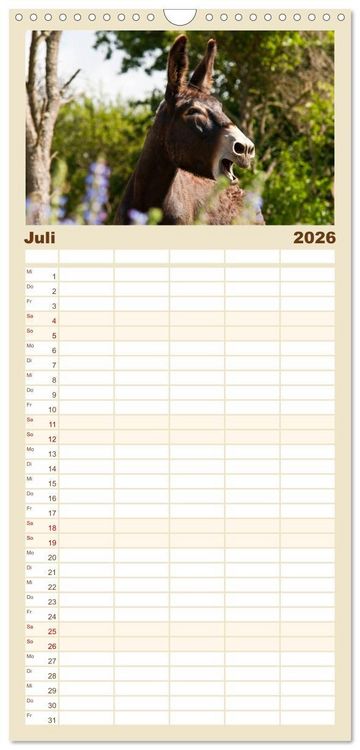 Produktbild: Familienplaner 2026 - Esel - Sixtus Loreley mit 5 Spalten (Wandkalender, 21 x 45 cm) CALVENDO