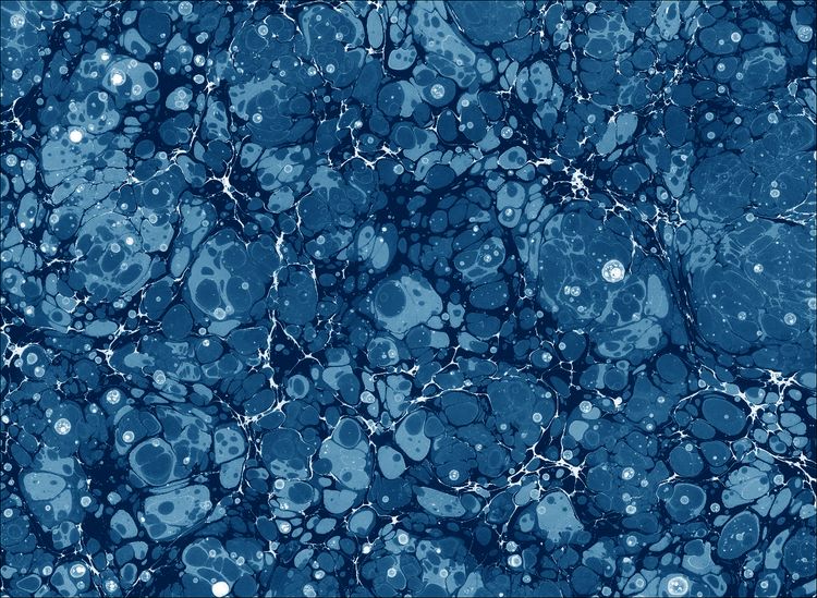 Produktbild: Anna Atkins