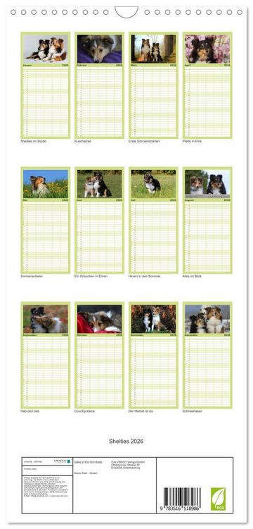 Produktbild: Familienplaner 2026 - Shelties 2026 mit 5 Spalten (Wandkalender, 21 x 45 cm) CALVENDO