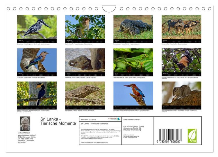 Produktbild: Sri Lanka - Tierische Momente (Wandkalender 2026 DIN A4 quer), CALVENDO Monatskalender