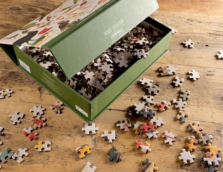 Produktbild: Coppenrath - Puzzle Illustrierte Tierwelt, 1000 Teile, Geschenkbox