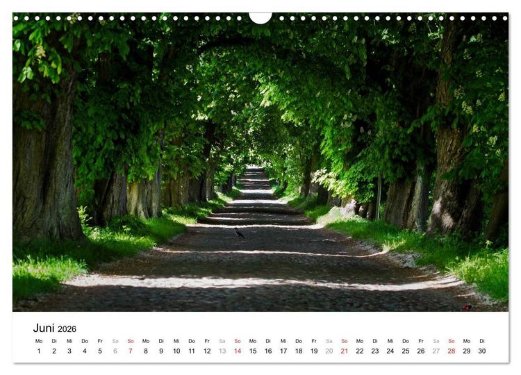 Produktbild: R&uuml;gen (Wandkalender 2026 DIN A3 quer), CALVENDO Monatskalender