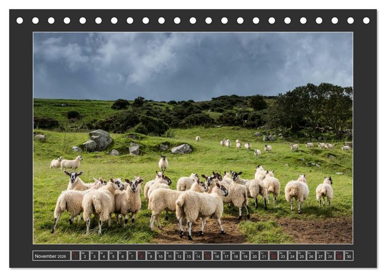 Produktbild: IRLAND - Insel der gl&uuml;cklichen Schafe (Tischkalender 2026 DIN A5 quer), CALVENDO Monatskalender