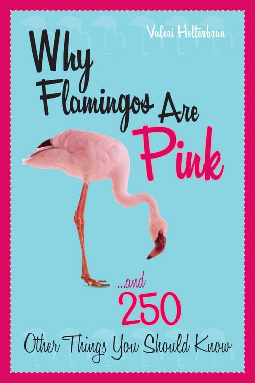 Produktbild: Why Flamingos Are Pink