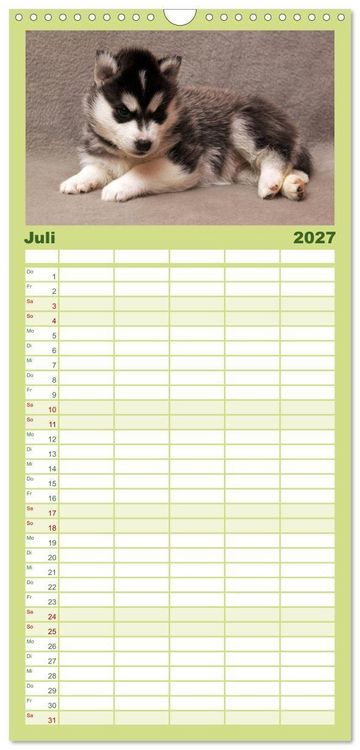 Produktbild: Familienplaner 2027 - Husky Welpen mit 5 Spalten (Wandkalender, 21 x 45 cm) CALVENDO
