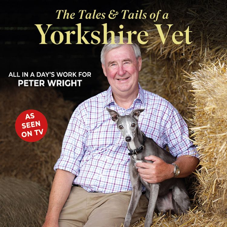 Produktbild: The Tales and Tails of a Yorkshire Vet