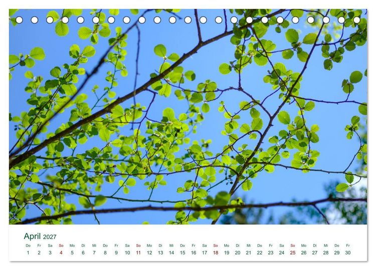Produktbild: Feldaisttal bei Pregarten (Tischkalender 2027 DIN A5 quer), CALVENDO Monatskalender