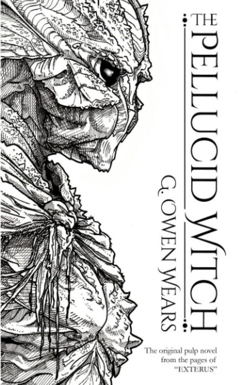 Produktbild: The Pellucid Witch
