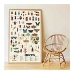 Produktbild: POPPIK - Lernposter & Sticker Insekten