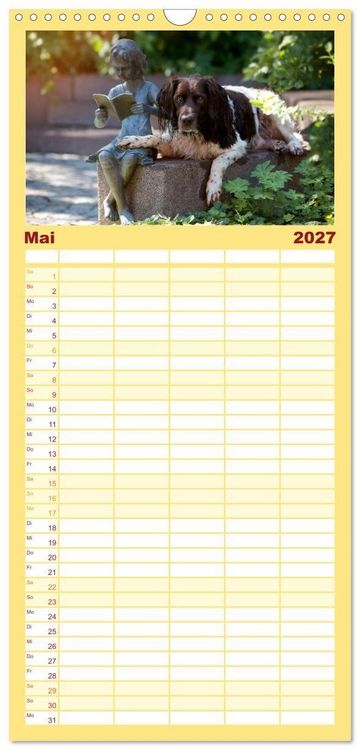 Produktbild: Familienplaner 2027 - Passion Jagdhund - Kleiner M&uuml;nsterl&auml;nder mit 5 Spalten (Wandkalender, 21 x 45 cm) CALVENDO