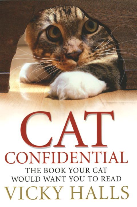 Produktbild: Cat Confidential