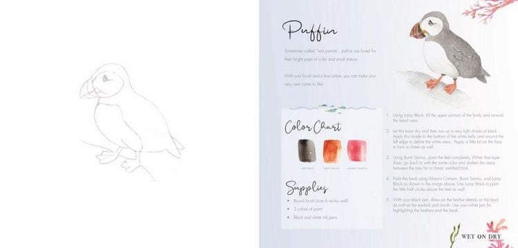 Produktbild: Das gro&szlig;e Aquarell-Praxisbuch - Meerestiere